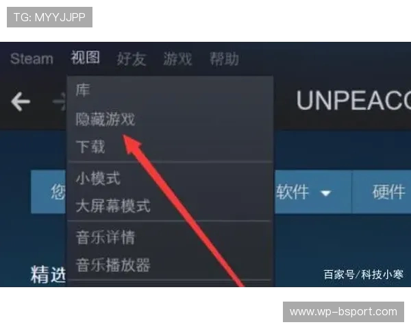 如何查看Steam游戏总时长及其他相关数据的详细方法